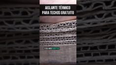 Privado: [ID: NVQZi2s8Vww] Youtube Automatic