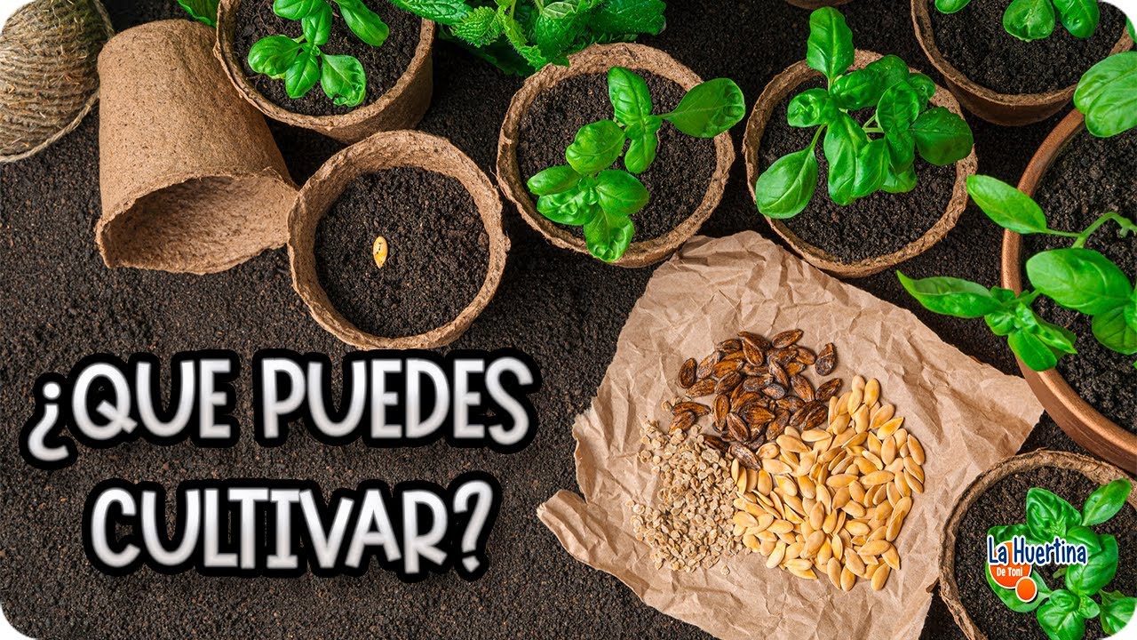 Precargar imagen