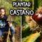 Privado: [ID: qaNOh32P_TQ] Youtube Automatic
