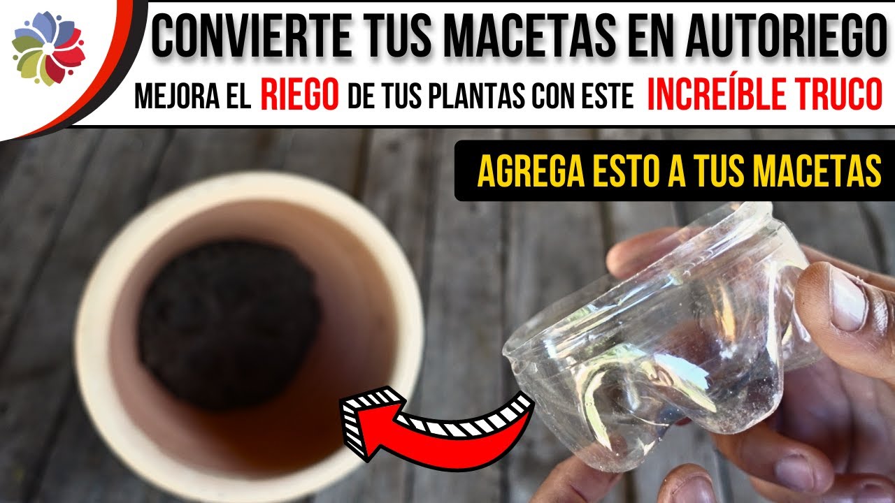 Precargar imagen