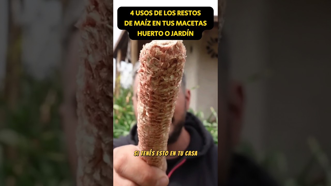 Precargar imagen