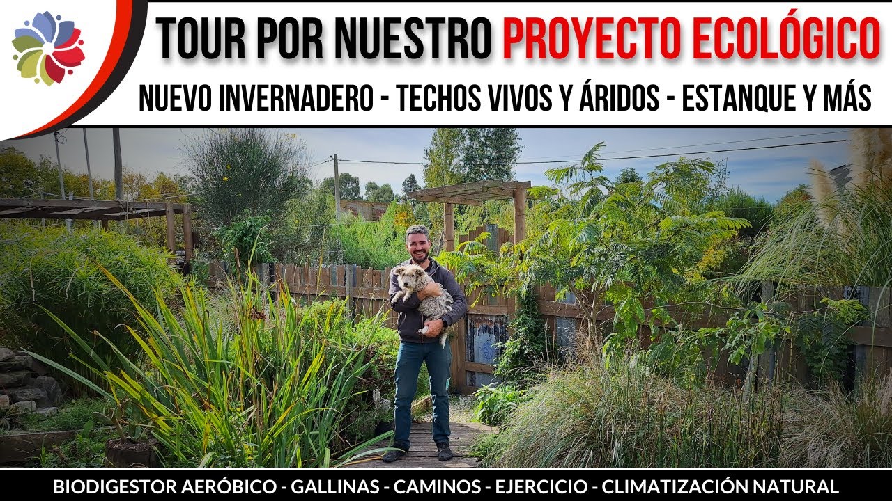 Precargar imagen