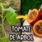 Privado: [ID: 6kd_USBDvLw] Youtube Automatic