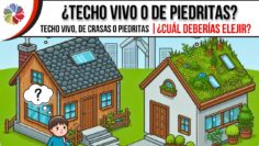 Privado: [ID: L8jmW-m4mk4] Youtube Automatic