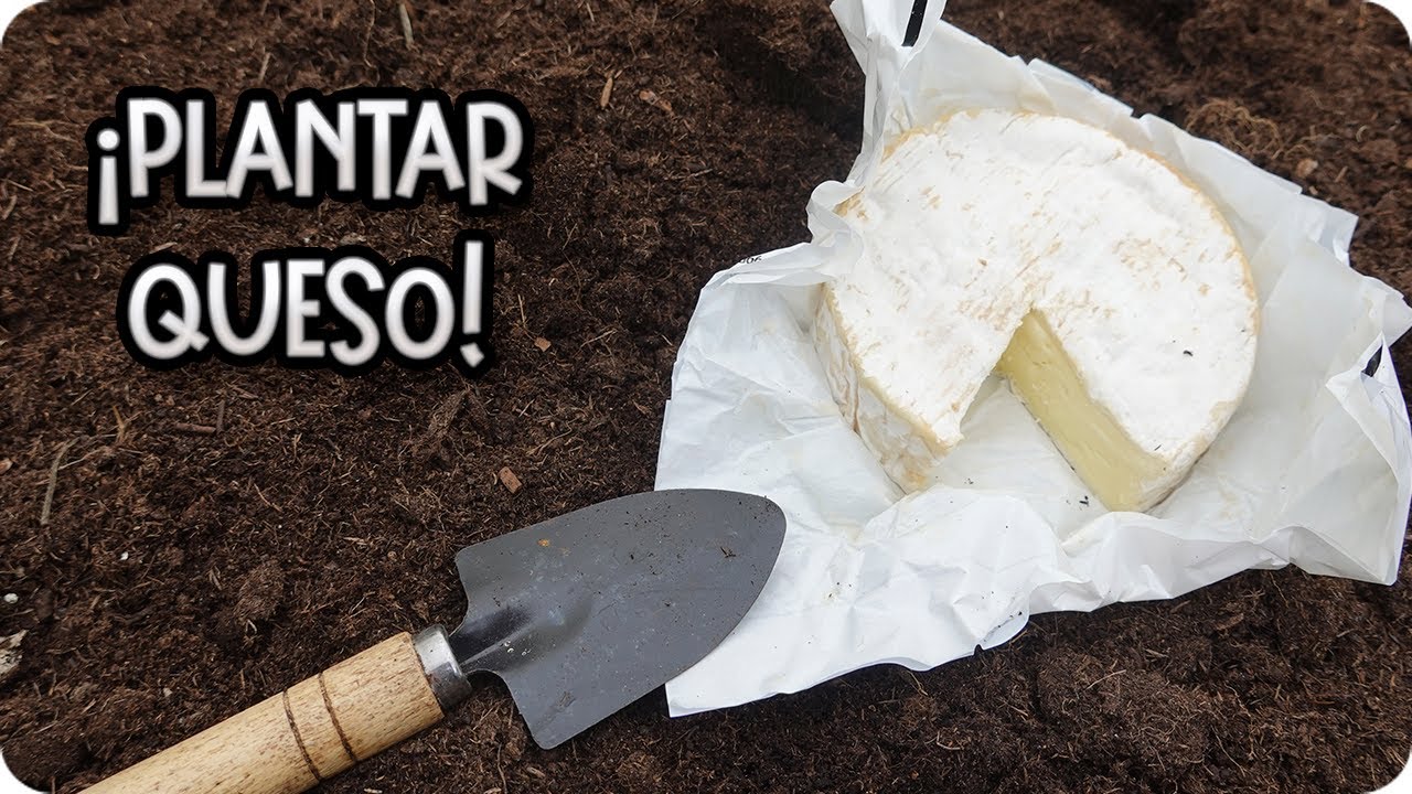 Precargar imagen