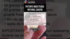 Privado: [ID: g-n5LwhMILA] Youtube Automatic