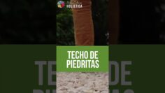 Privado: [ID: G-Z5f7zAF94] Youtube Automatic