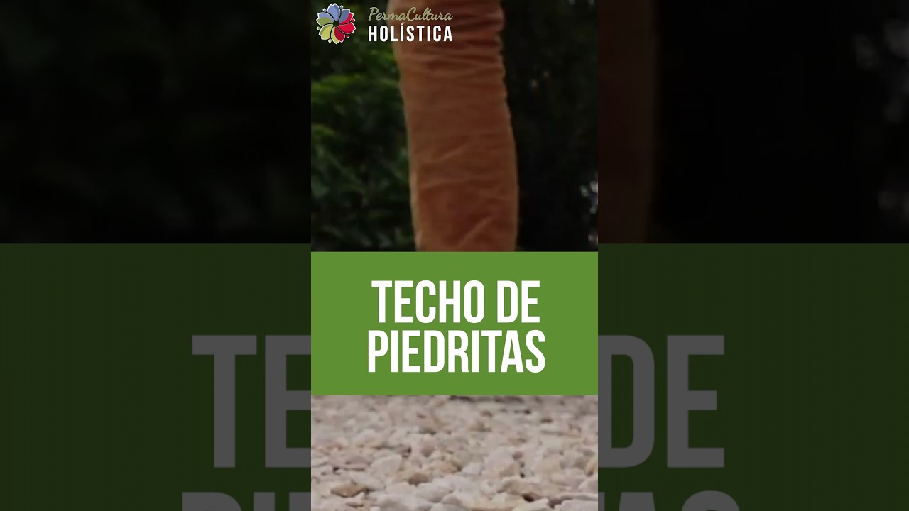 Precargar imagen