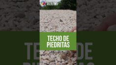 Privado: [ID: JFe2ygmV0Ug] Youtube Automatic