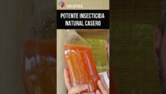 Privado: [ID: LCUsZQtAwEA] Youtube Automatic