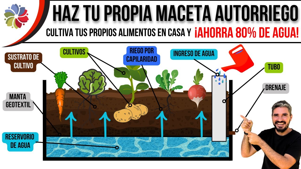 Precargar imagen