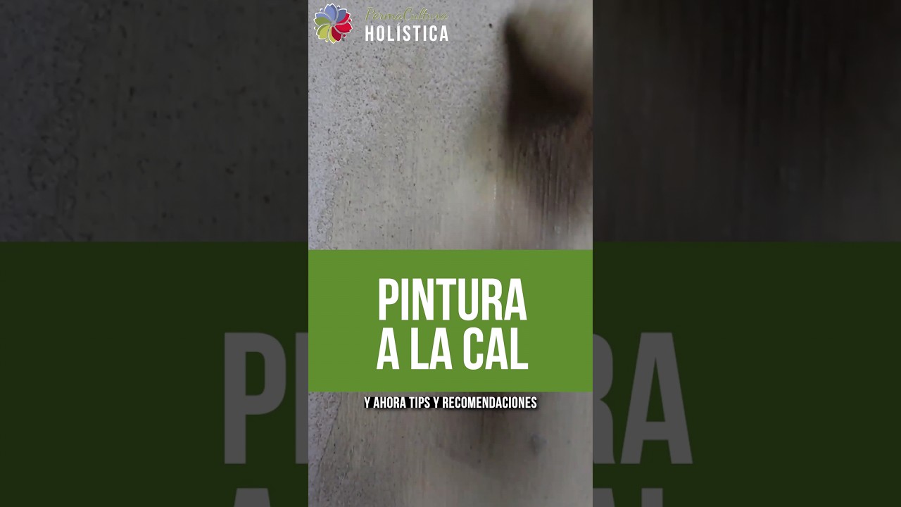 Precargar imagen