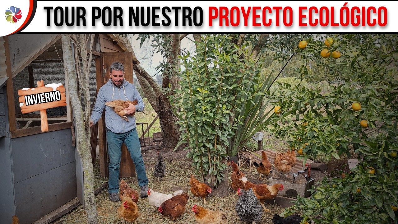 Precargar imagen