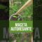 Privado: [ID: Vy9_qSS0QIc] Youtube Automatic