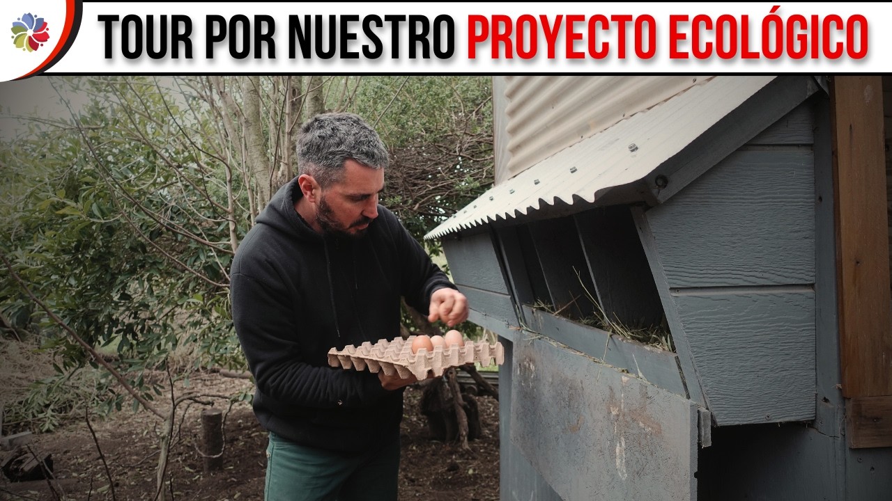 Precargar imagen