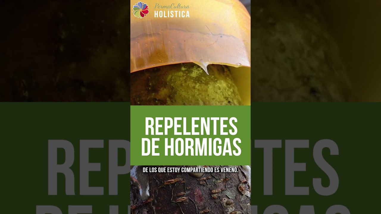 Precargar imagen