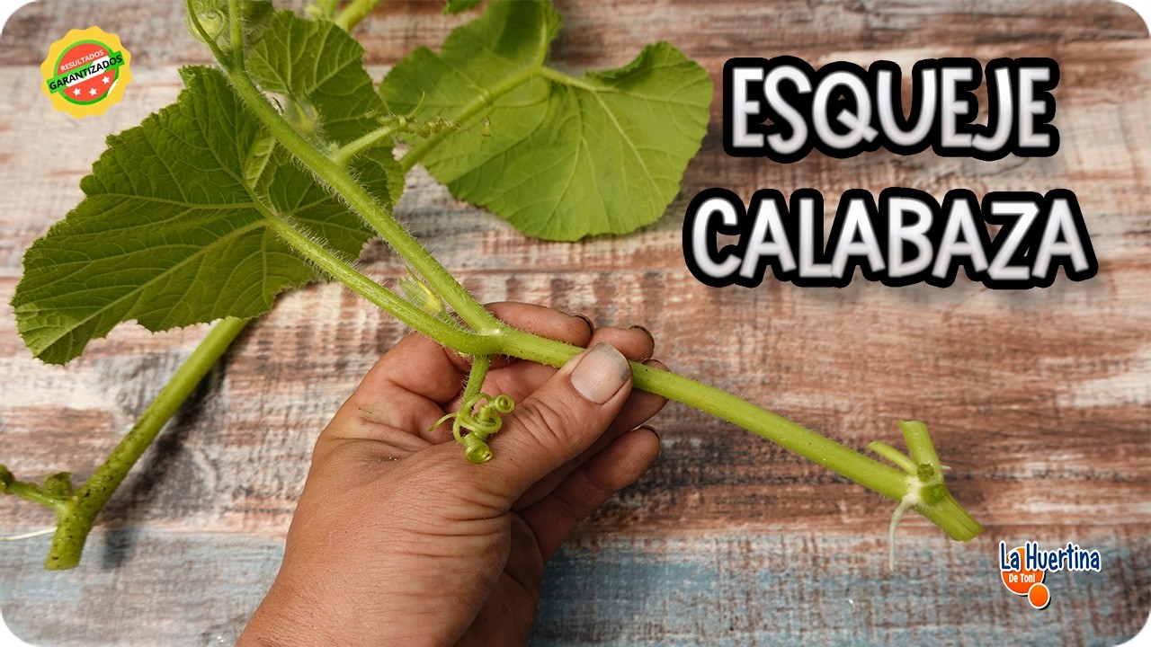 Precargar imagen