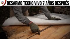Privado: [ID: O4EMe2nNwz0] Youtube Automatic