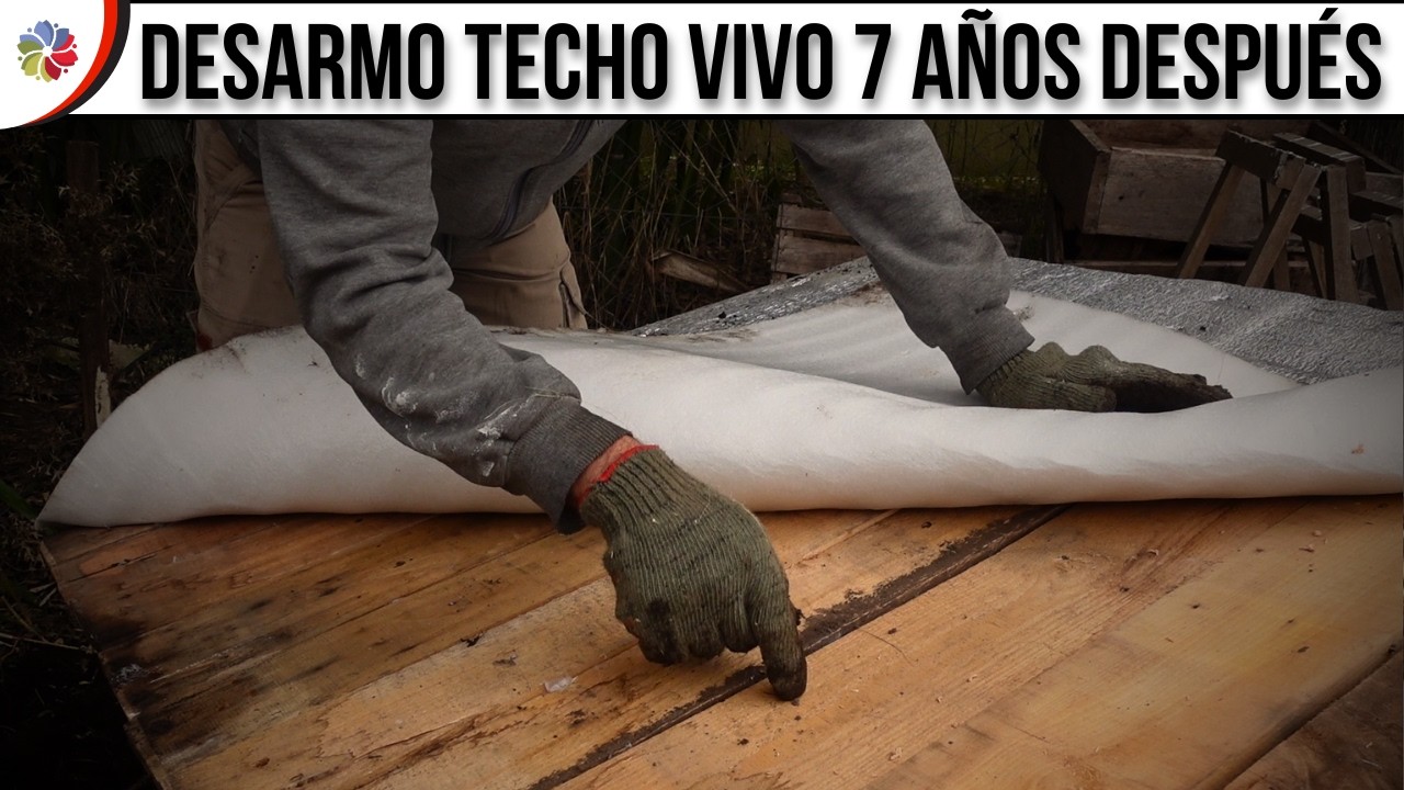 Precargar imagen