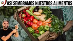 Privado: [ID: VWALmOfWz5Y] Youtube Automatic