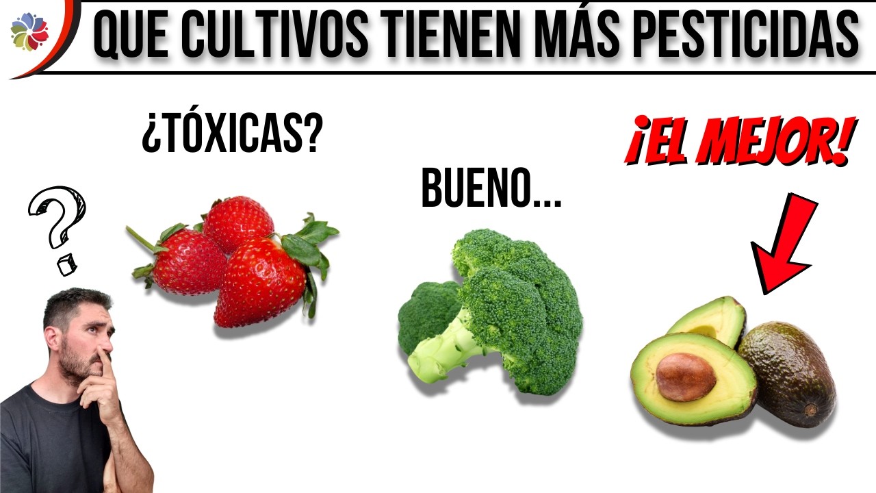 Precargar imagen