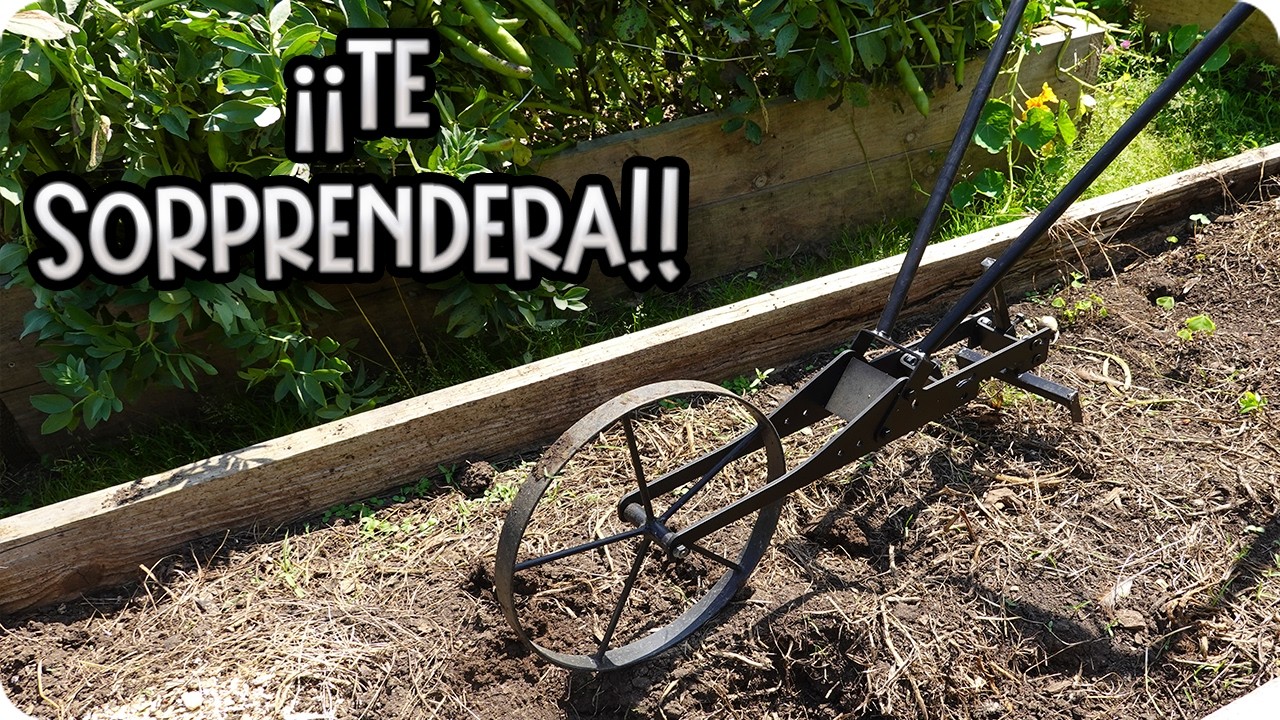 Precargar imagen