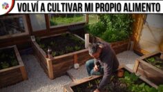 Privado: [ID: zLjmjOBhIpA] Youtube Automatic