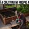 Privado: [ID: zLjmjOBhIpA] Youtube Automatic