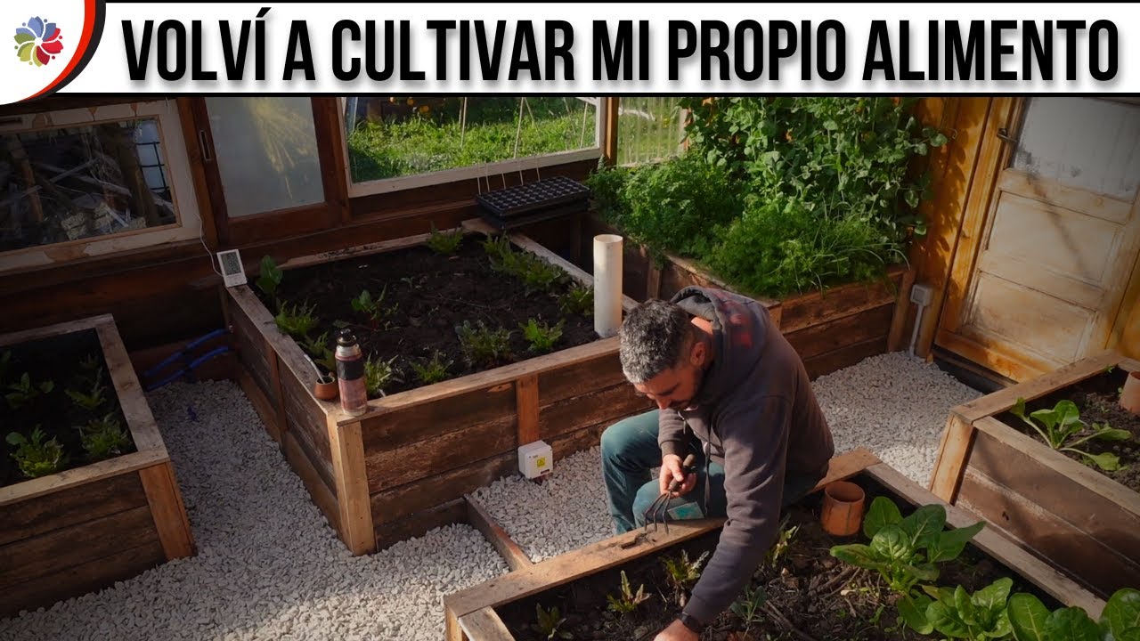 Precargar imagen
