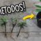 Privado: [ID: dgkxEdjswrk] Youtube Automatic