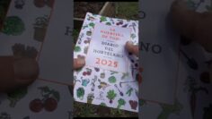 Privado: [ID: dXBRq7UR4y4] Youtube Automatic