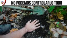 Privado: [ID: VgIKUKWBaXM] Youtube Automatic
