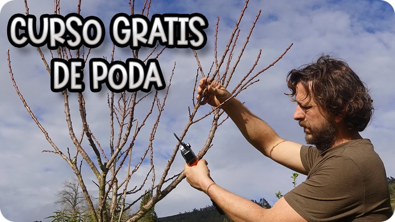 Precargar imagen