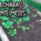 Privado: [ID: xgcX77yln54] Youtube Automatic