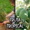 Privado: [ID: 1VL4L6mtAJE] Youtube Automatic