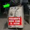 Privado: [ID: yIIdXl5a3vo] Youtube Automatic