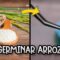 Privado: [ID: 02gNoKDd0c4] Youtube Automatic