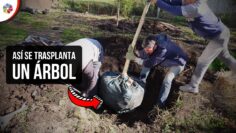 Privado: [ID: 2u1BdcWUd6M] Youtube Automatic