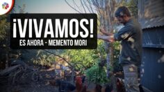 Privado: [ID: 8wt-5Y0lbIU] Youtube Automatic