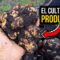 Privado: [ID: I-DjUATDXxM] Youtube Automatic