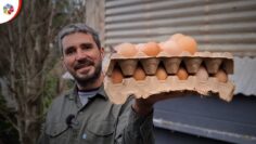 Privado: [ID: bVDsDI3Y16Q] Youtube Automatic