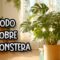 Privado: [ID: LqlxG9IsMig] Youtube Automatic