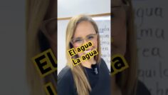 Privado: [ID: UuEp-XFqtdw] Youtube Automatic