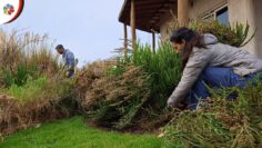 Privado: [ID: Go2qHxr_v70] Youtube Automatic