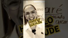 Privado: [ID: QBsE6EQsIS8] Youtube Automatic