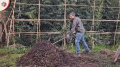 Privado: [ID: va1yWnNoXpA] Youtube Automatic