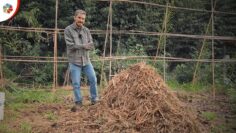 Privado: [ID: VjmIHlyitBw] Youtube Automatic