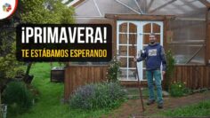 Privado: [ID: 9cmzsV0hHbA] Youtube Automatic