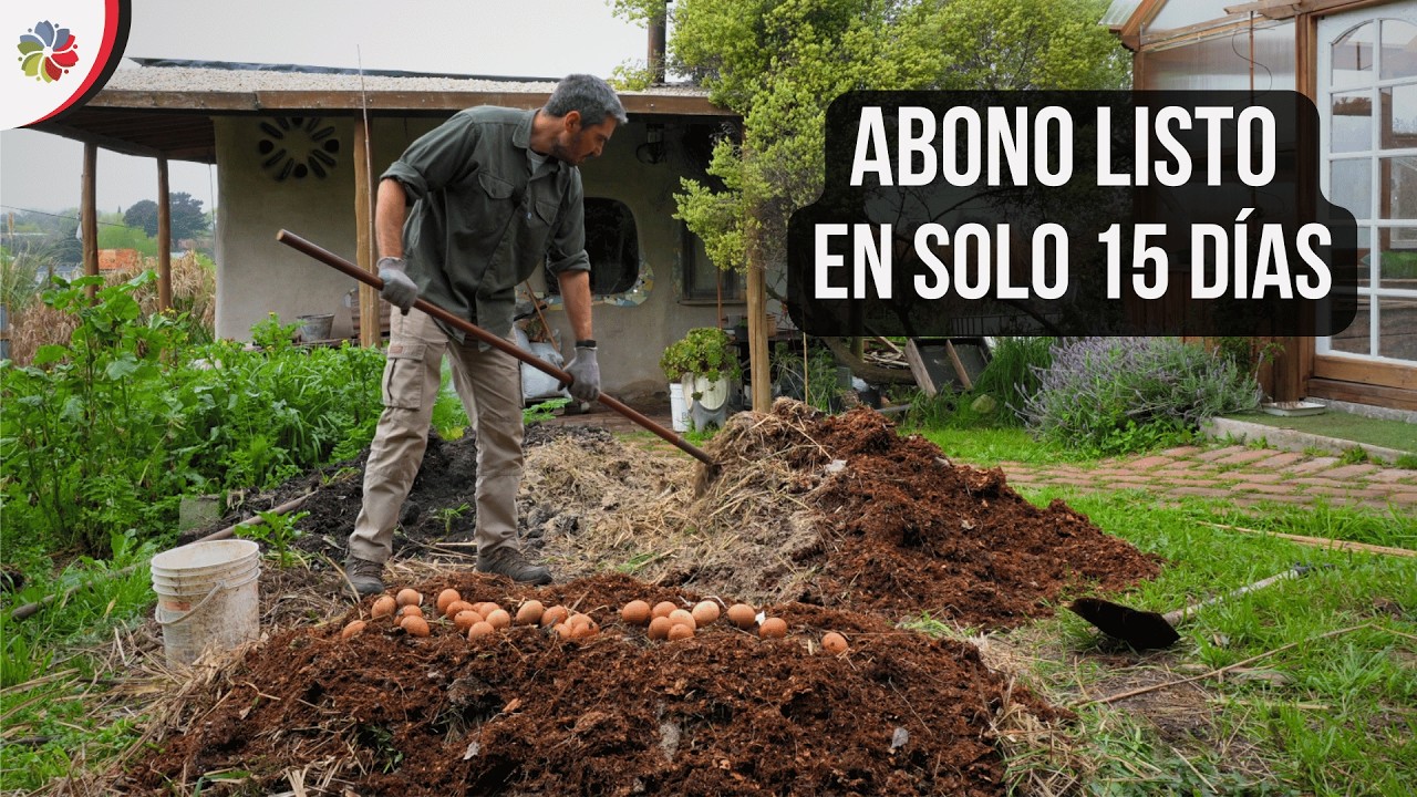 Precargar imagen
