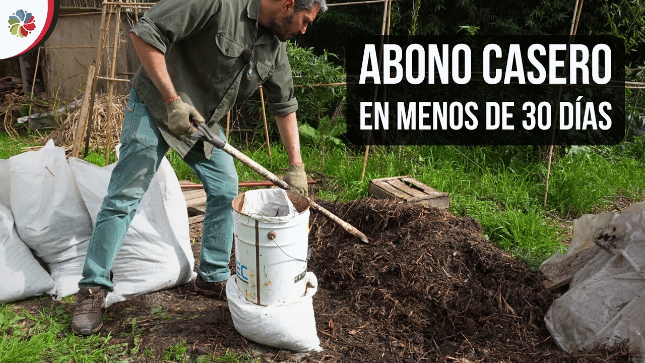 Precargar imagen
